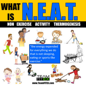 What is NEAT and why doing more of it can speed up FAT LOSS!